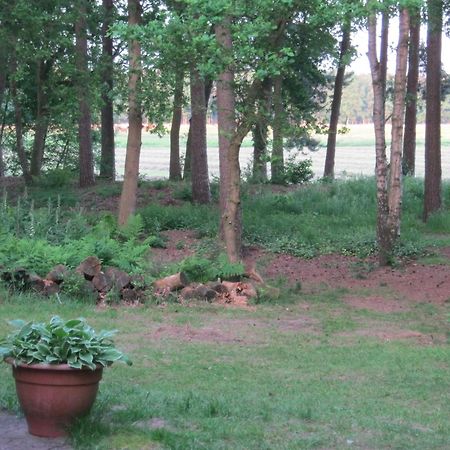 Vakantiehuis op top locatie #Ommen Buitenkant foto