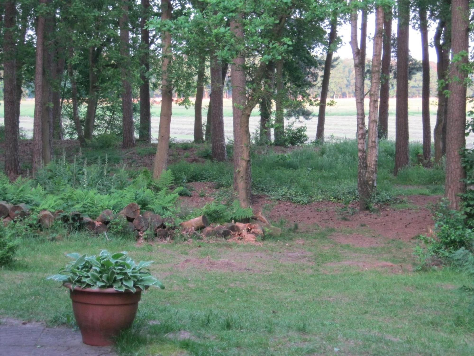 Vakantiehuis op top locatie #Ommen Buitenkant foto