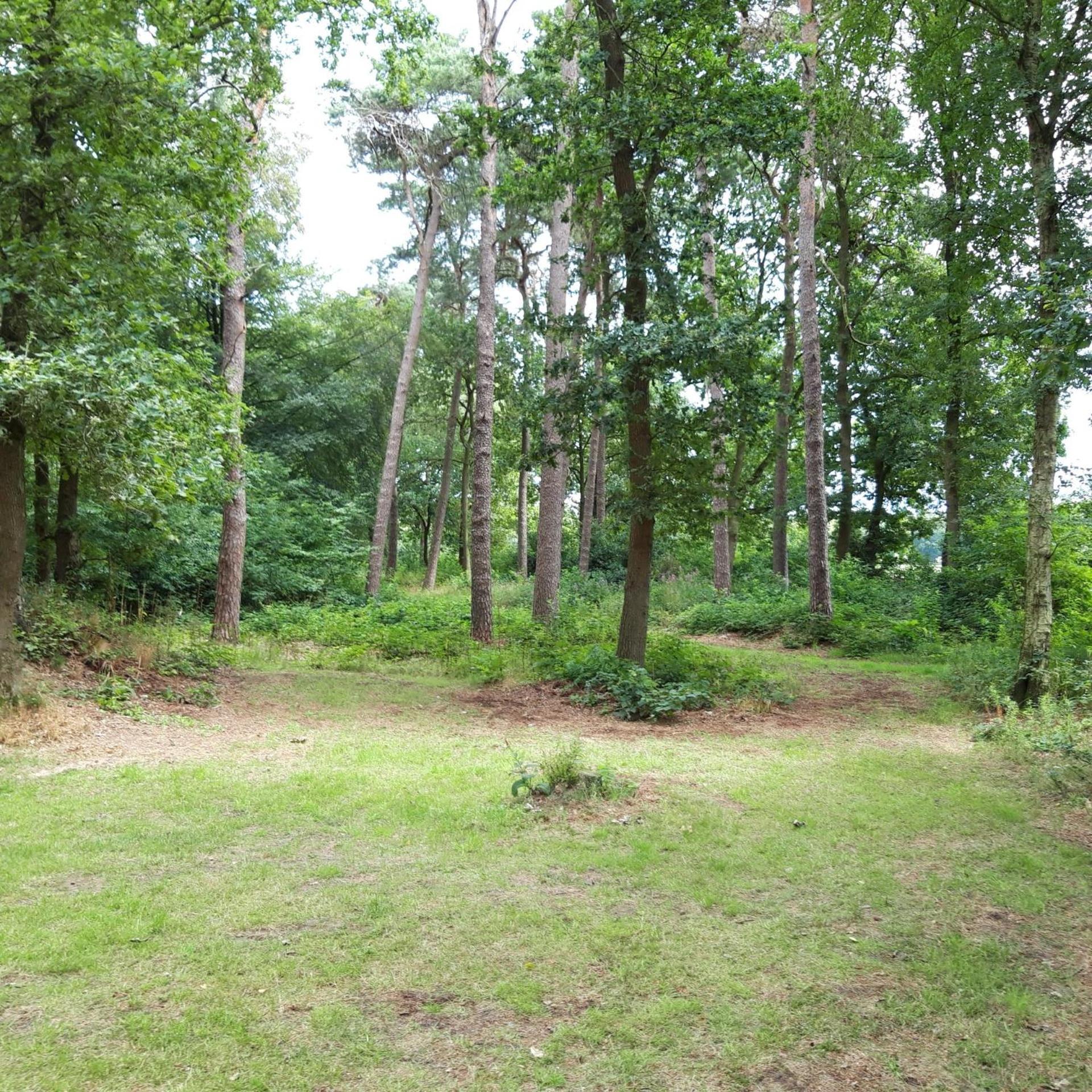 Vakantiehuis op top locatie #Ommen Buitenkant foto