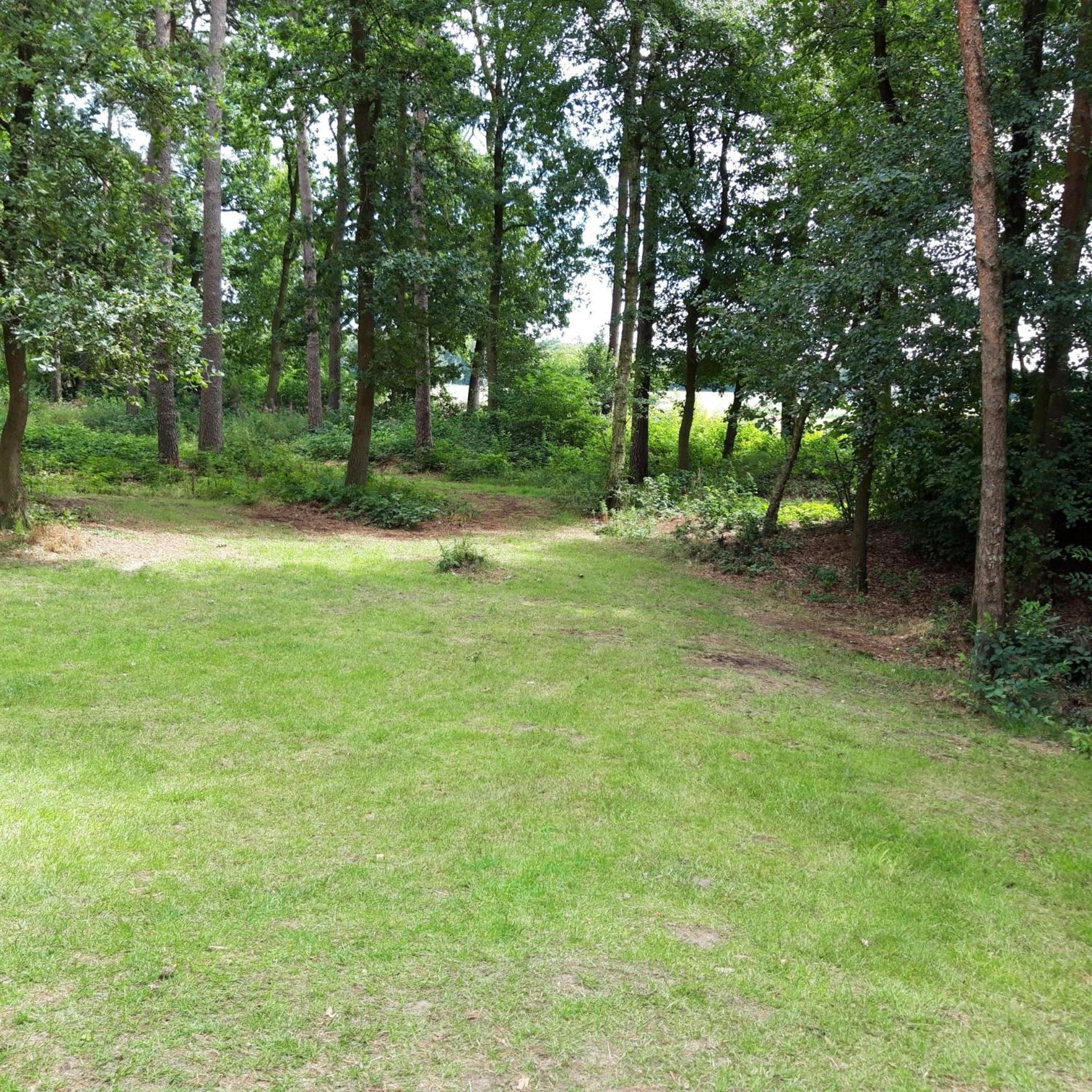 Vakantiehuis op top locatie #Ommen Buitenkant foto